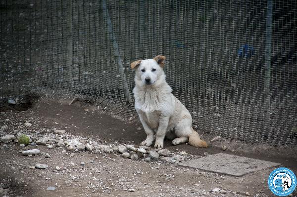 Asia, Astro, Aria: tre fratelli timidi e dolcissimi Foto 4
